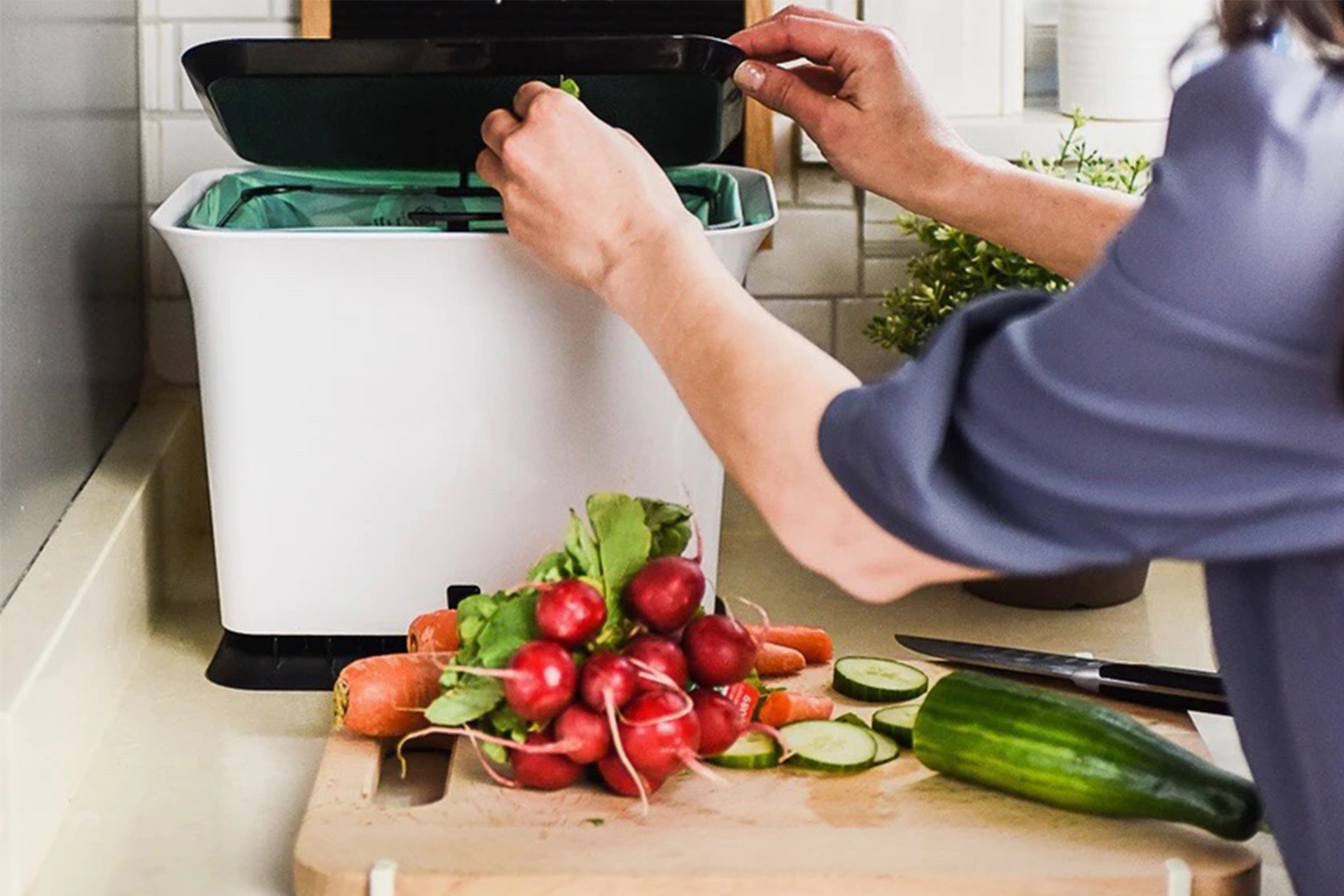 Countertop composting