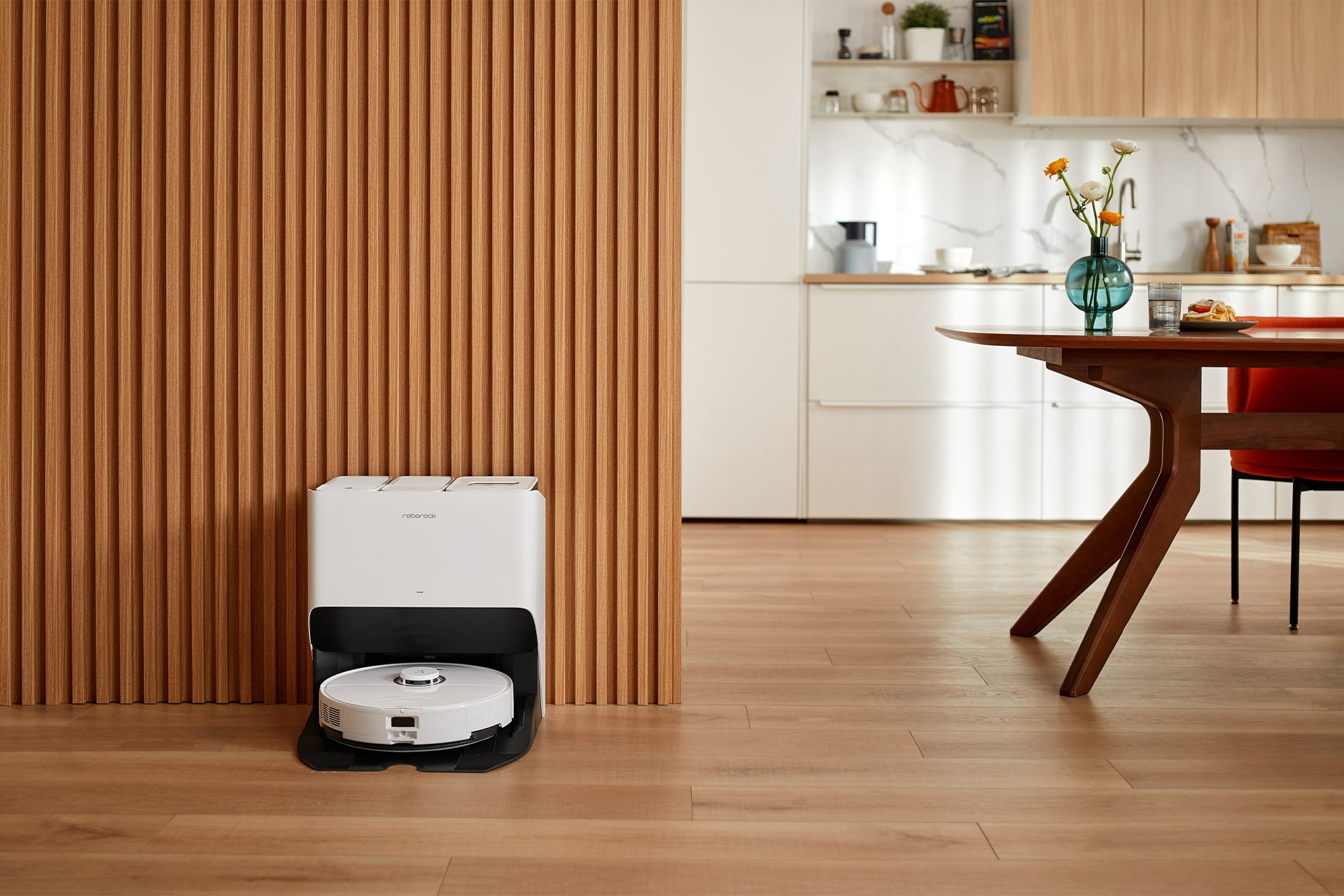 Roborock sales s50 cleaning
