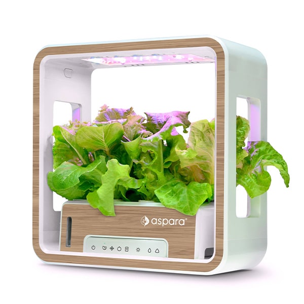 https://www.homepagenews.com/wp-content/uploads/2023/02/Growgreen-Limited-aspara-Stylist-Lite-Smart-Grower-Art-Series2.jpg