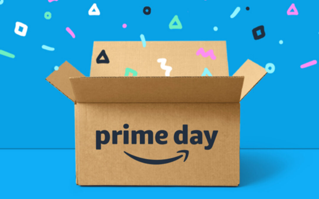 Numerator: Prime Day Gained in Households But Lagged in Order Size, Spend