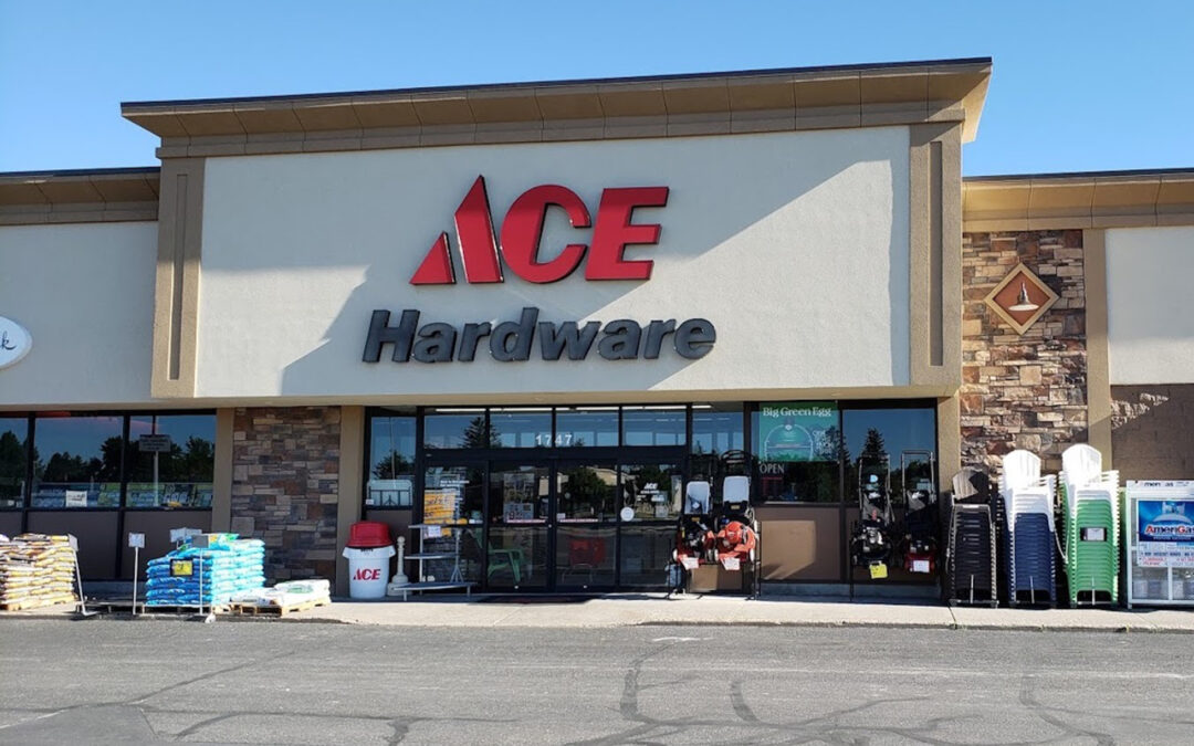 Ace Q1 Revenues Gain but Profits Slip