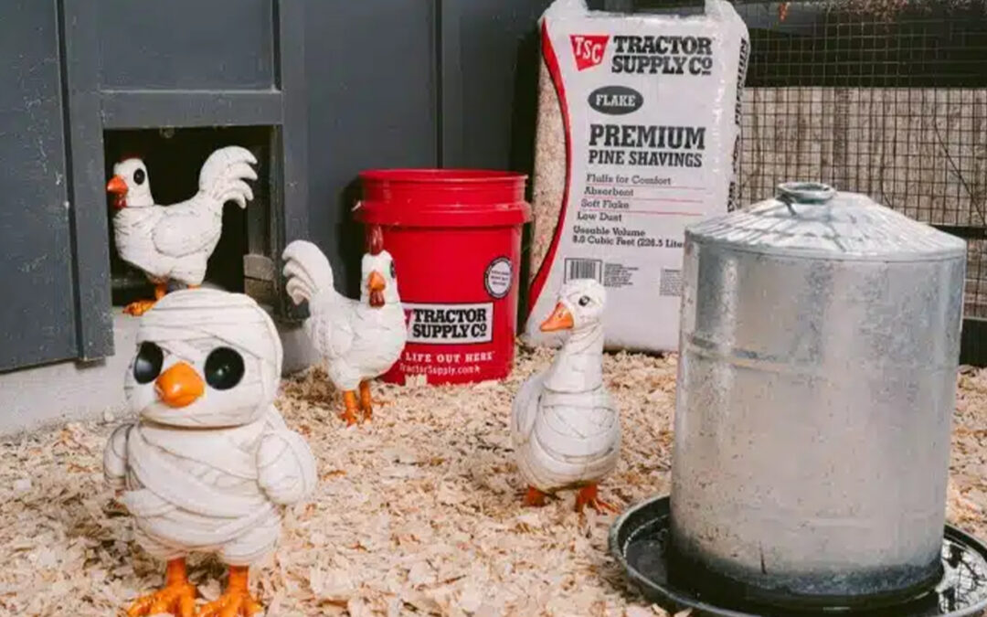 Tractor Supply Puts Farm-Inspired Twist on Halloween Décor